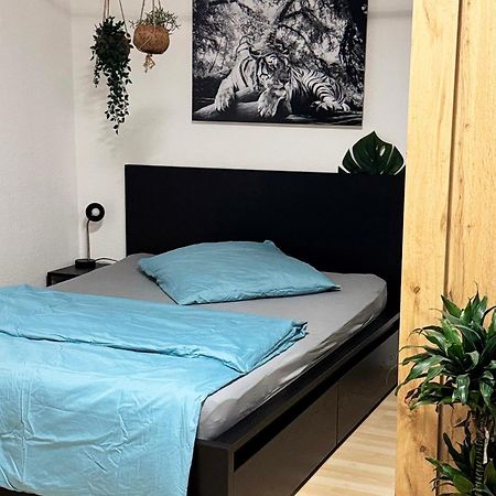 Zentrumnah Inklusive Parkplatz Jungle-Suite By Rentigo - Ruheoase Im Herzen Von Saarbruecken! المظهر الخارجي الصورة