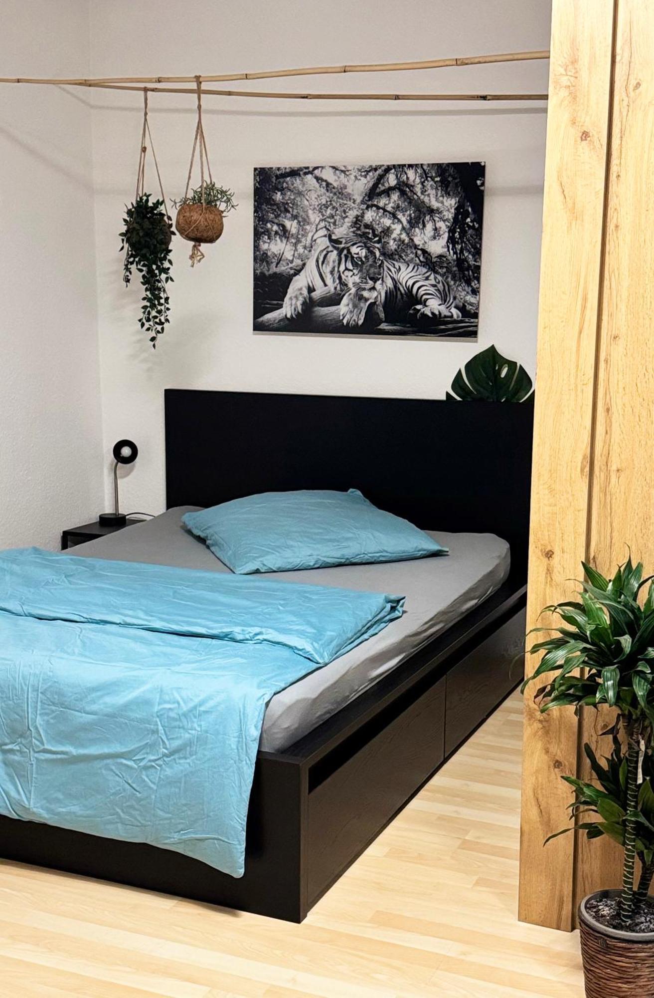 Zentrumnah Inklusive Parkplatz Jungle-Suite By Rentigo - Ruheoase Im Herzen Von Saarbruecken! المظهر الخارجي الصورة