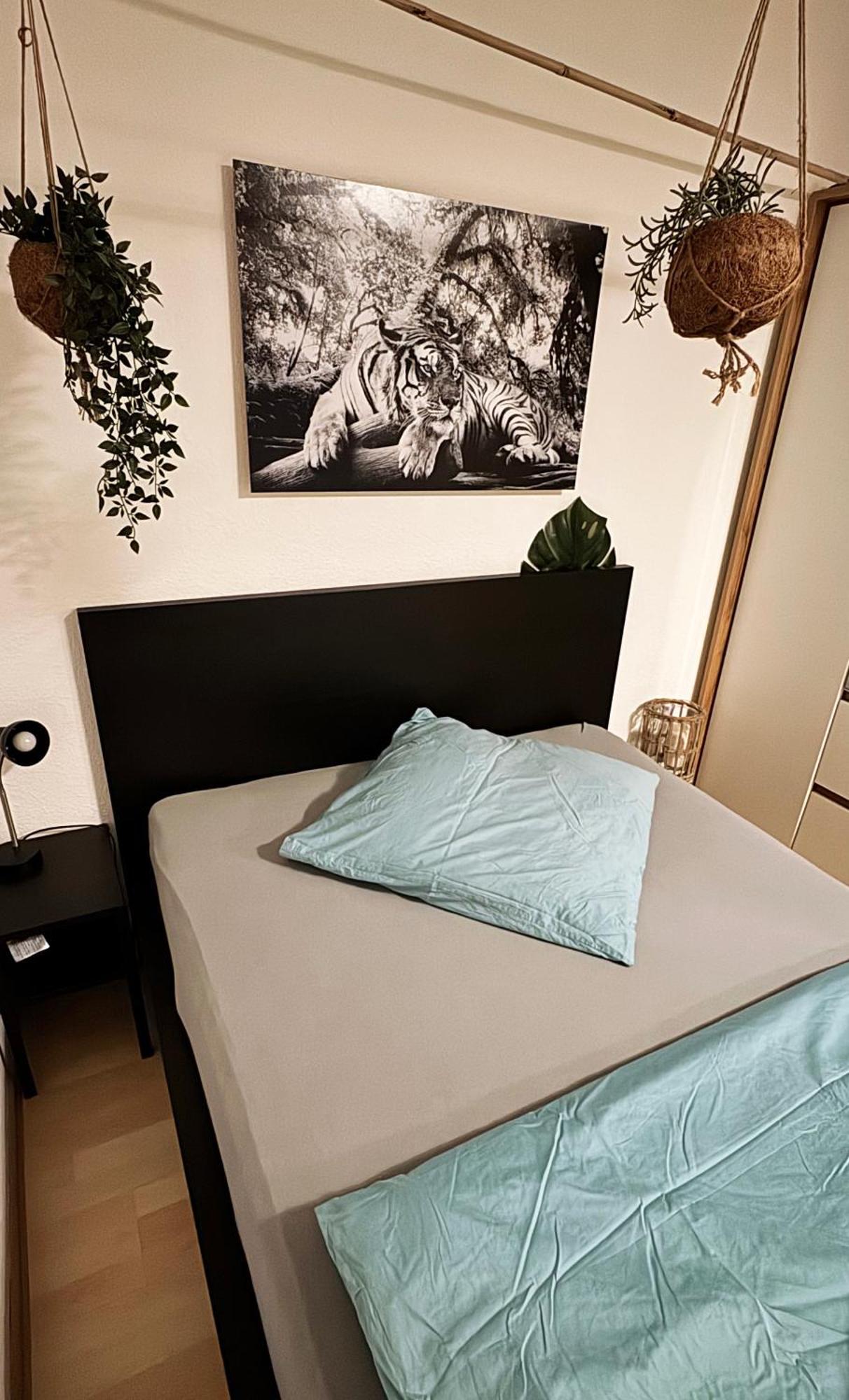 Zentrumnah Inklusive Parkplatz Jungle-Suite By Rentigo - Ruheoase Im Herzen Von Saarbruecken! المظهر الخارجي الصورة